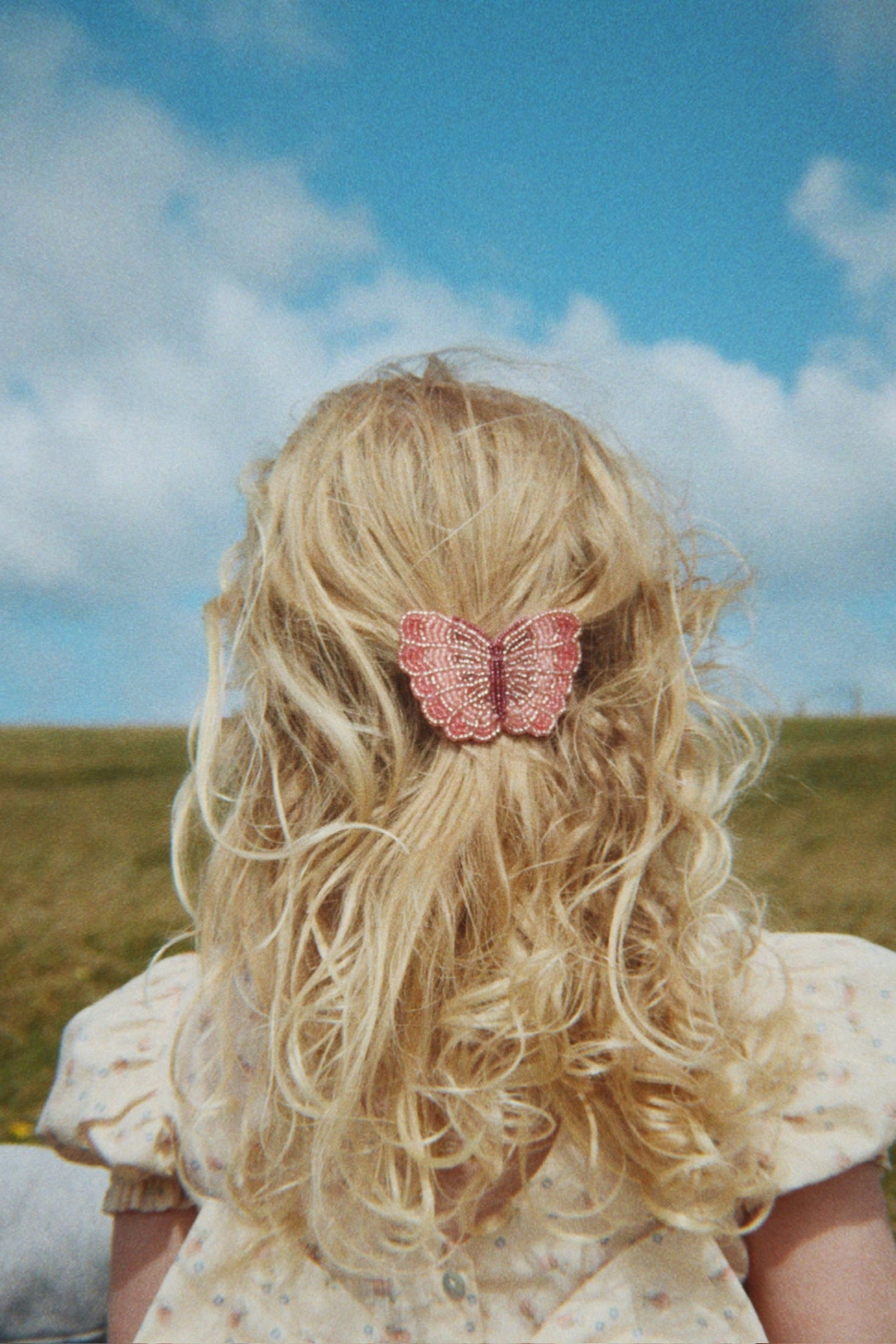 PLAUKŲ SEGĖ - BUTTERFLY