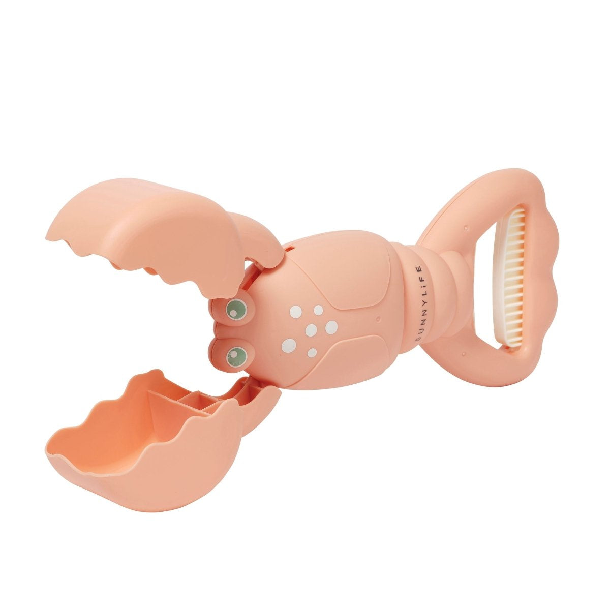SMĖLIO ŽNYPLĖS – LOBSTER CORAL