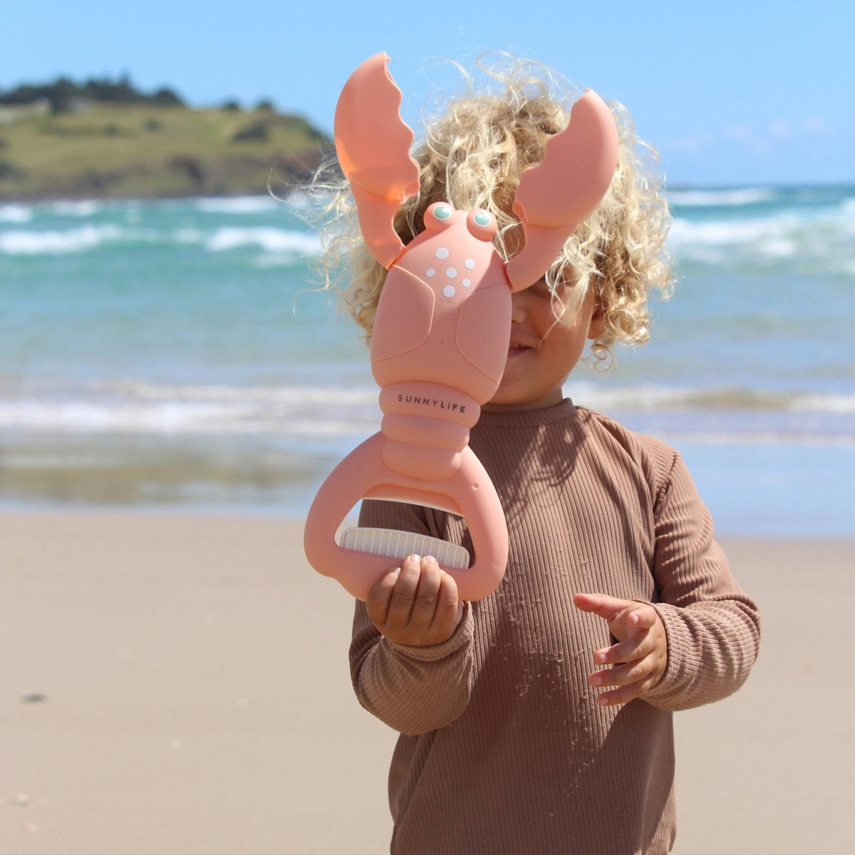SMĖLIO ŽNYPLĖS – LOBSTER CORAL