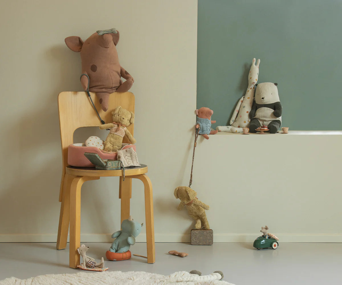 ŠUNIUKO AKSESUARŲ DĖŽUTĖ