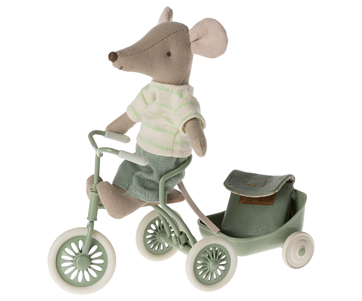 Tricycle mouse, Big brother