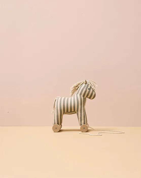 TRAUKIAMAS ŽAISLAS - ARKLIUKAS SAM