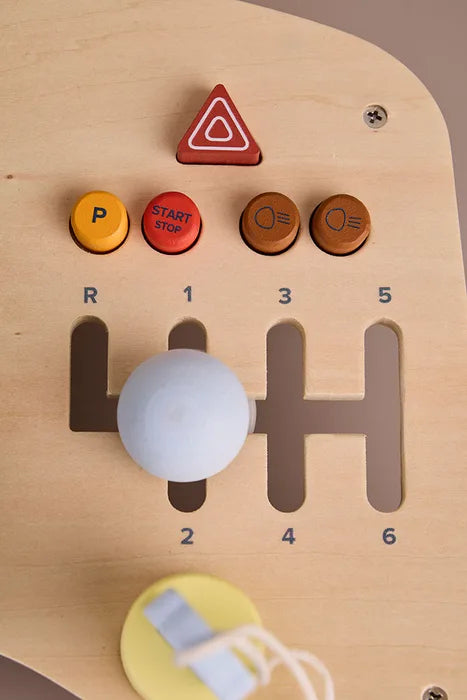 VEIKLOS LENTA - AUTOMOBILIS