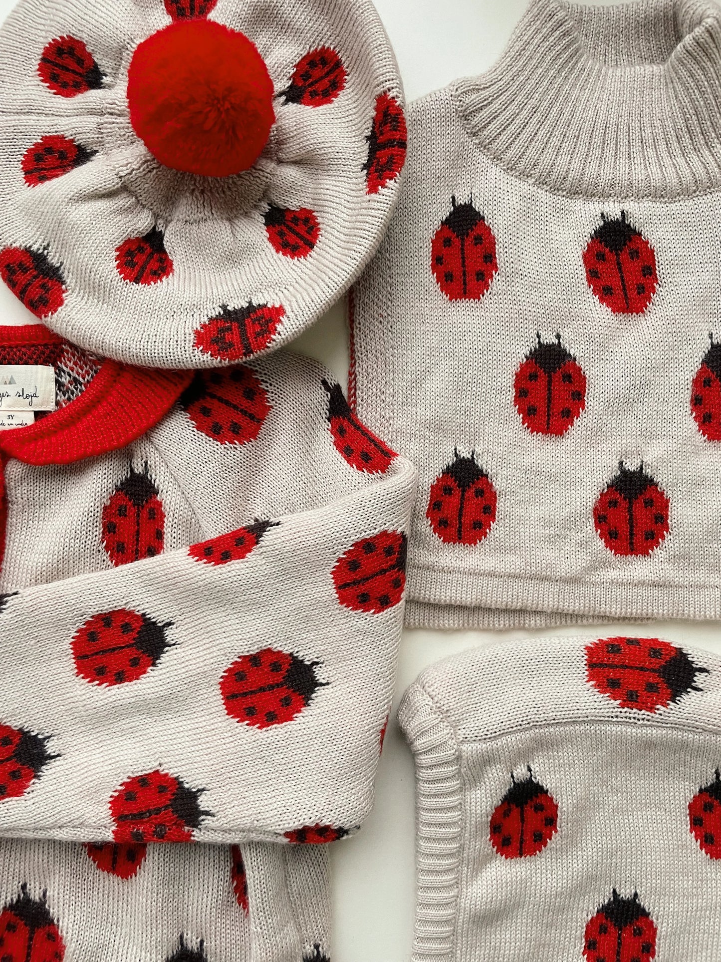  MEGZTINIS LADYBUG