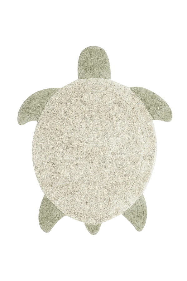 PLAUNAMAS KILIMAS SEA TURTLE