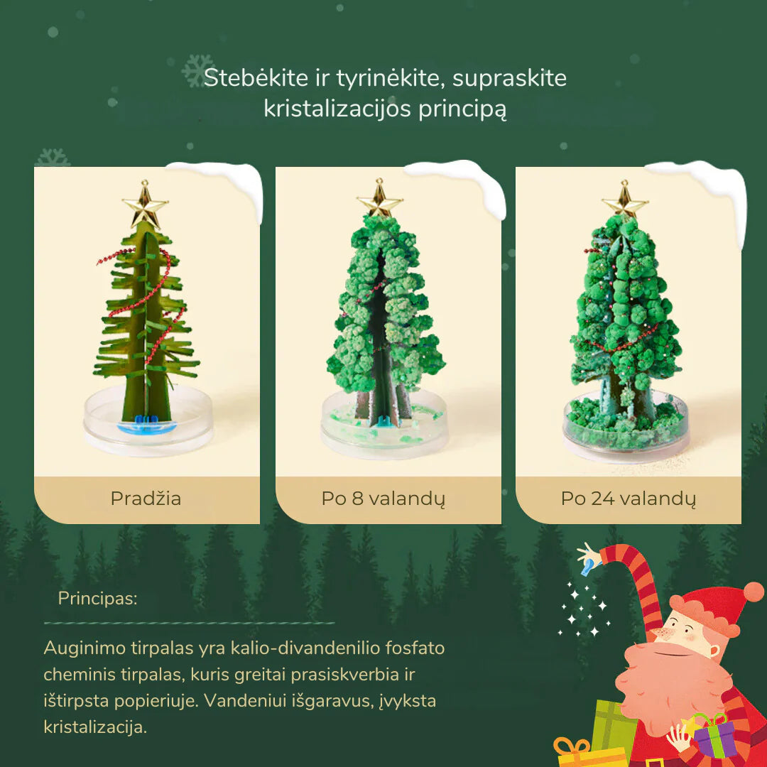 MAGIŠKAS KALĖDŲ MEDIS- KRISTALŲ AUGINIMO RINKINYS
