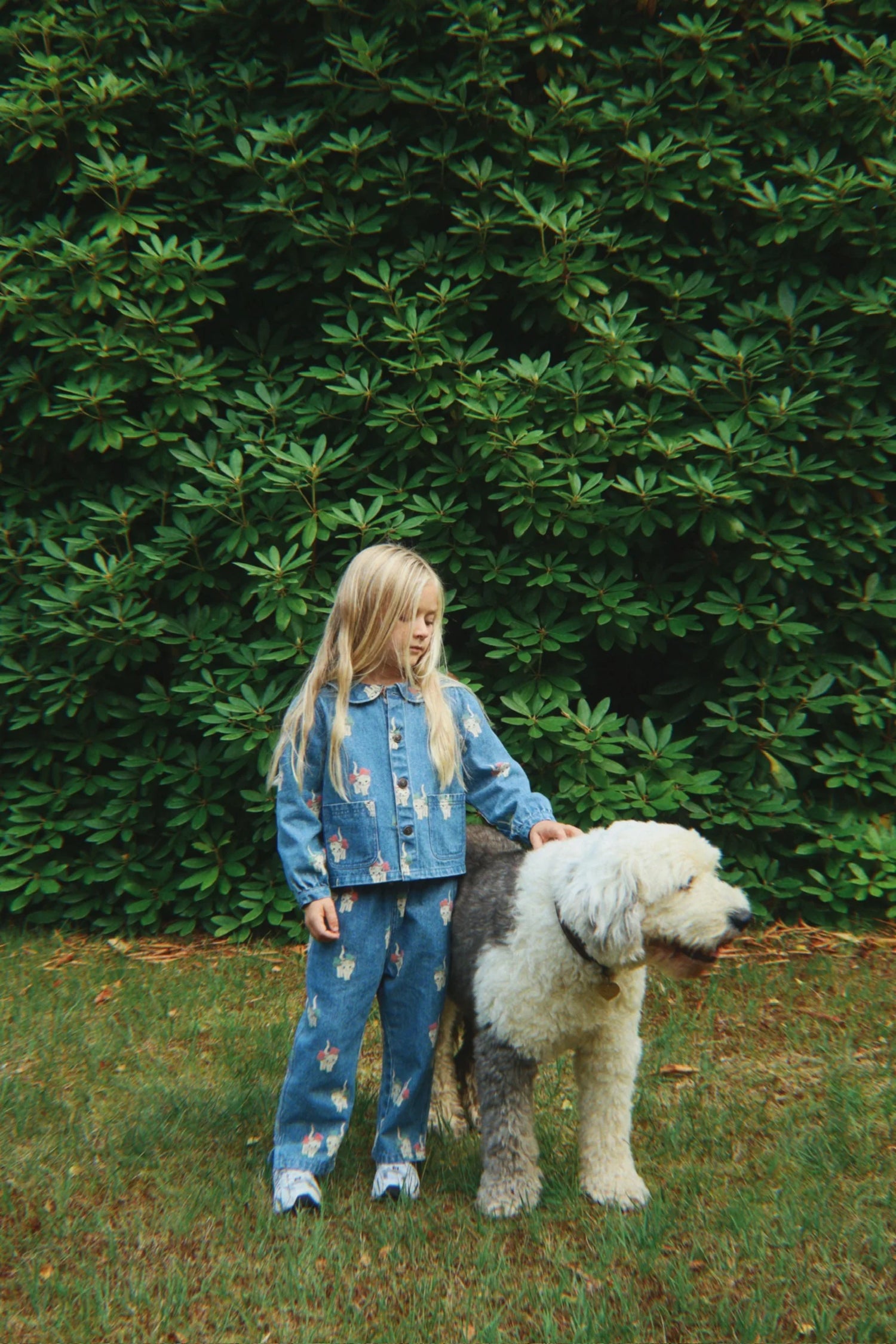 MAGOT JACKET - BOW KITTY DENIM