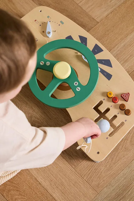 VEIKLOS LENTA - AUTOMOBILIS