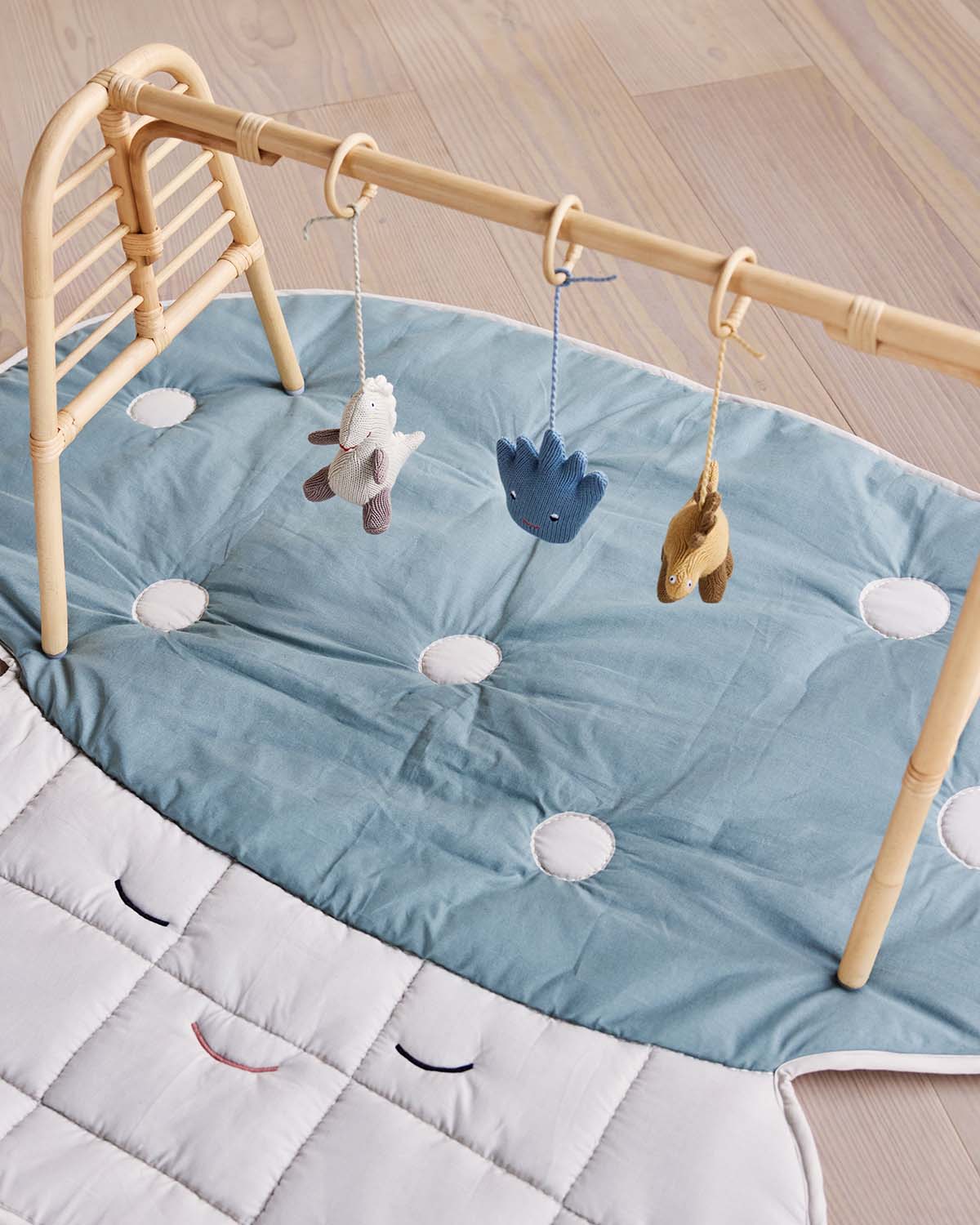 DINO PLAY GYM TOY