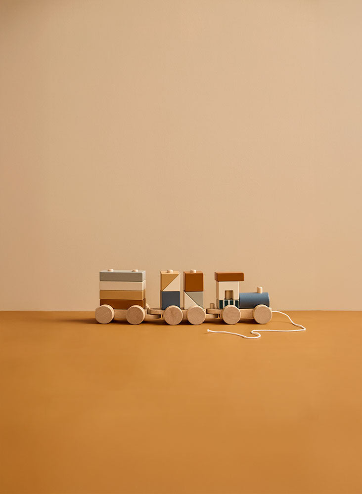 BLOCK TRAIN - BROWN