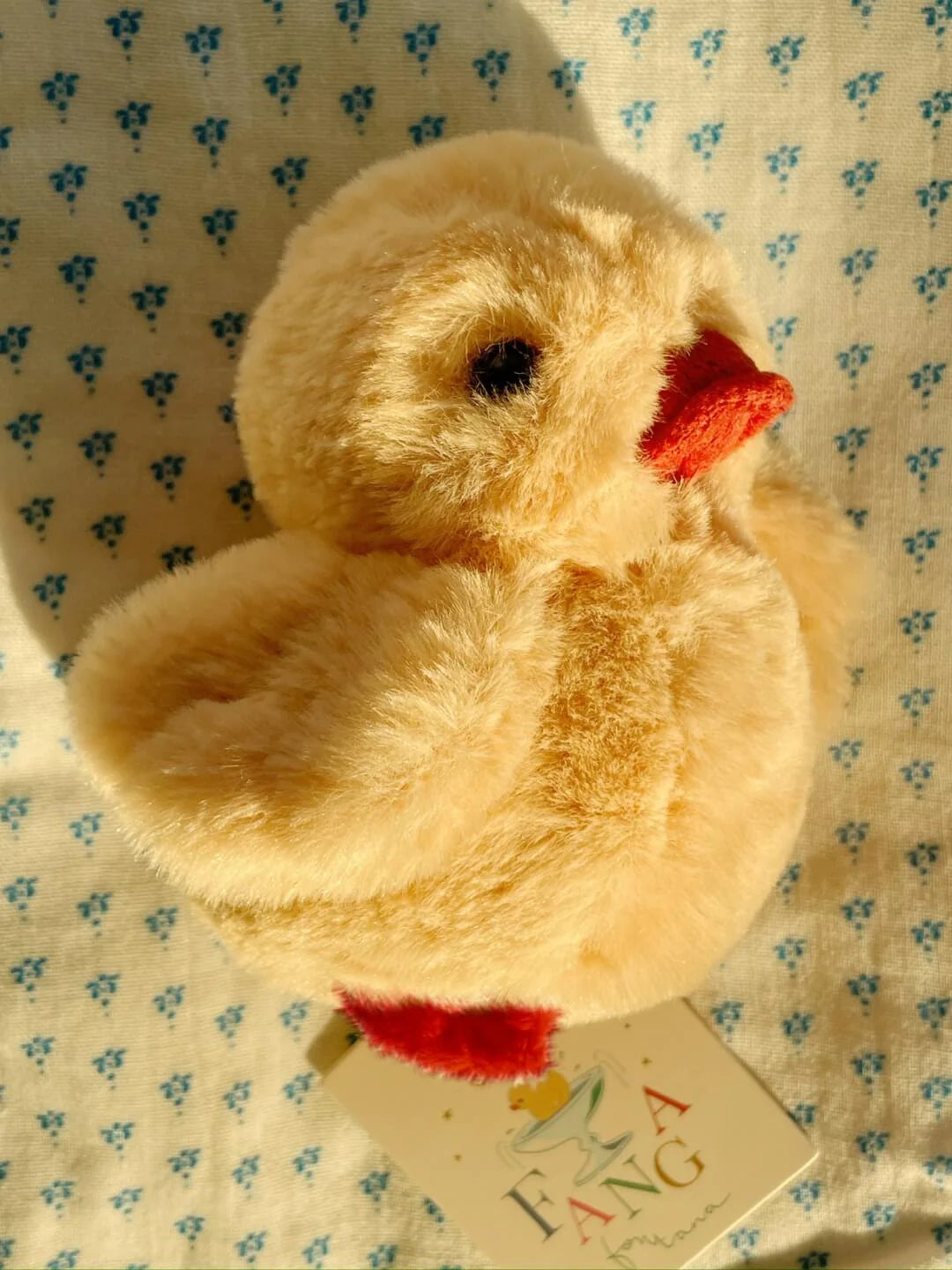 MAŽA GELTONA ANTYTĖ - FANGA MIO